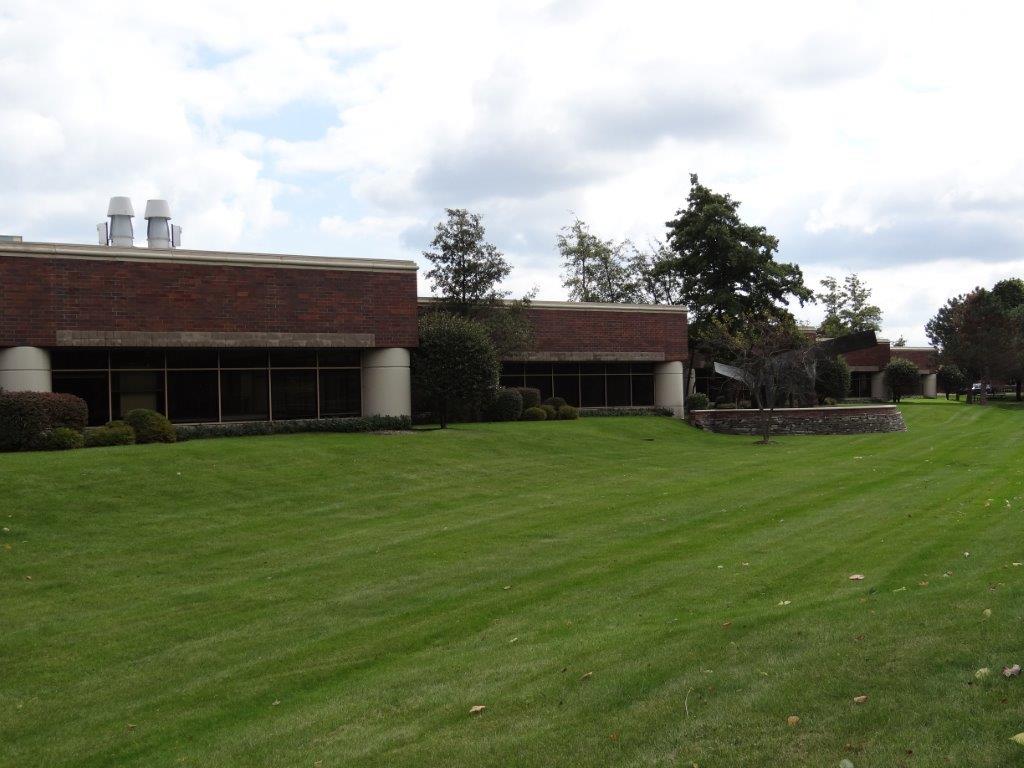 office building behind grassy field