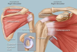 Shoulder Surgery  AC Joint Injury Calcific Tendonitis Frozen Shoulder