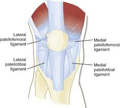 What is Patellar Tendonitis? - Dr. Roger Chams