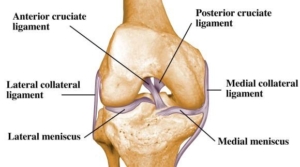 ACL (Anterior Cruciate Ligament) MCL (Medial Collateral Ligament) Tear and  Repair - 3D Animation 